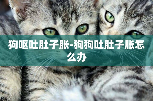 狗嘔吐肚子脹-狗狗吐肚子脹怎么辦