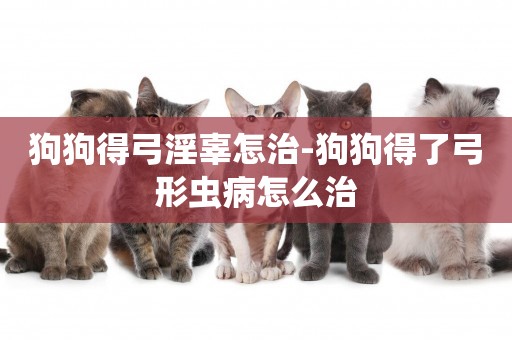狗狗得弓淫辜怎治-狗狗得了弓形蟲病怎么治