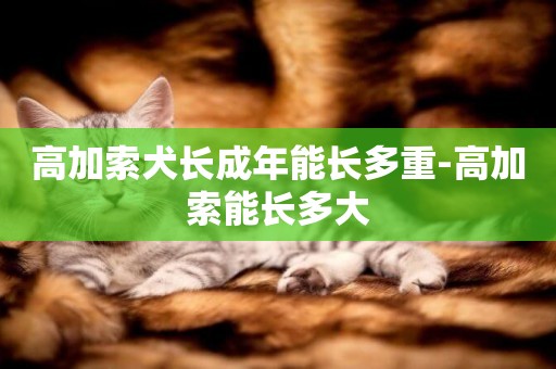 高加索犬長成年能長多重-高加索能長多大