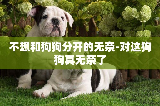 不想和狗狗分開的無奈-對這狗狗真無奈了