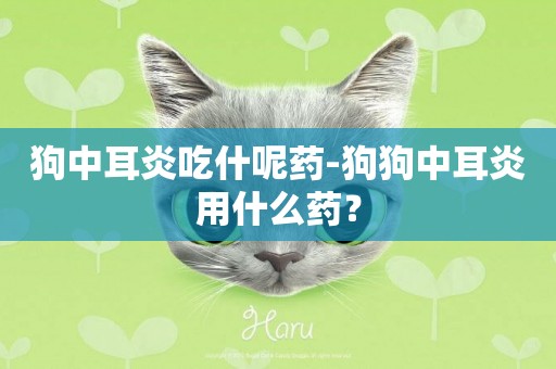 狗中耳炎吃什呢藥-狗狗中耳炎用什么藥？