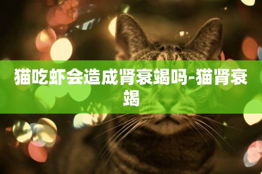 貓吃蝦會造成腎衰竭嗎-貓腎衰竭