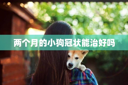 兩個月的小狗冠狀能治好嗎