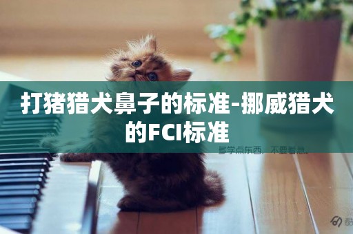 打豬獵犬鼻子的標準-挪威獵犬的FCI標準