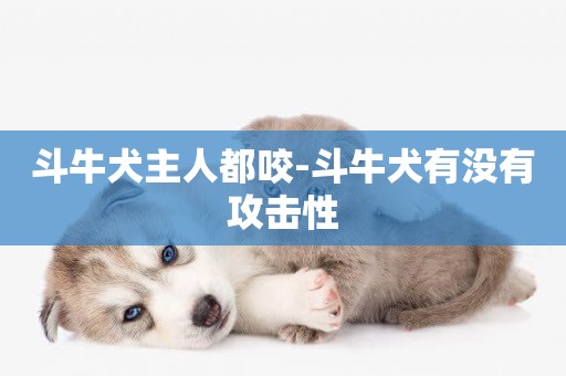 斗牛犬主人都咬-斗牛犬有沒有攻擊性