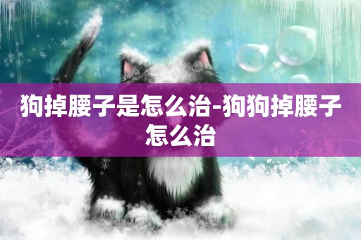 狗掉腰子是怎么治-狗狗掉腰子怎么治