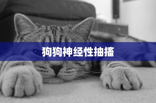 狗狗神經性抽搐