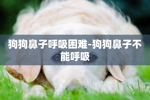 狗狗鼻子呼吸困難-狗狗鼻子不能呼吸