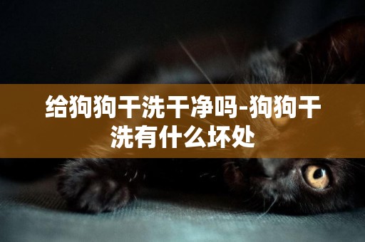 給狗狗干洗干凈嗎-狗狗干洗有什么壞處