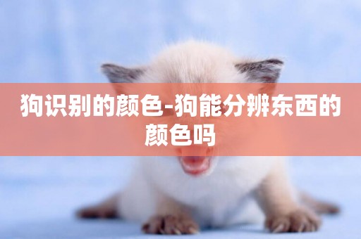 狗識別的顏色-狗能分辨東西的顏色嗎