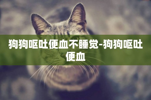 狗狗嘔吐便血不睡覺-狗狗嘔吐便血