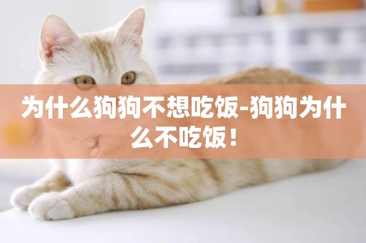 為什么狗狗不想吃飯-狗狗為什么不吃飯！