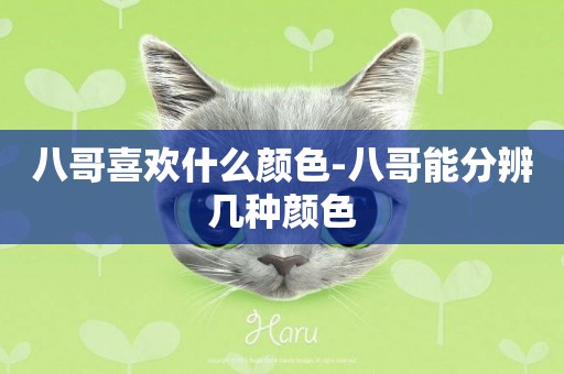 八哥喜歡什么顏色-八哥能分辨幾種顏色