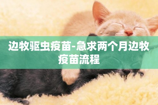 邊牧驅蟲疫苗-急求兩個月邊牧疫苗流程