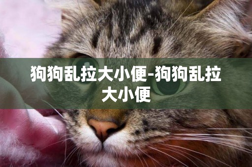 狗狗亂拉大小便-狗狗亂拉大小便