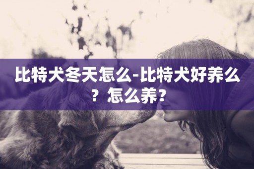 比特犬冬天怎么-比特犬好養么？怎么養？
