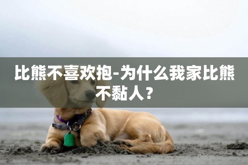 比熊不喜歡抱-為什么我家比熊不黏人？