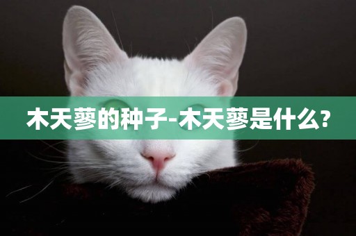 木天蓼的種子-木天蓼是什么?