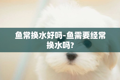 魚常換水好嗎-魚需要經常換水嗎?
