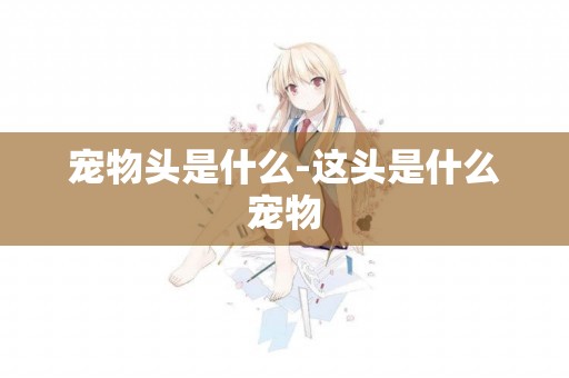 寵物頭是什么-這頭是什么寵物