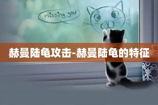 赫曼陸龜攻擊-赫曼陸龜的特征