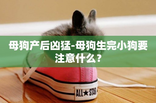 母狗產后兇猛-母狗生完小狗要注意什么？