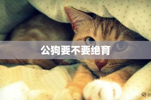 公狗要不要絕育