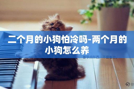 二個月的小狗怕冷嗎-兩個月的小狗怎么養