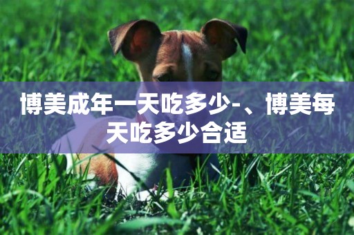 博美成年一天吃多少-、博美每天吃多少合適