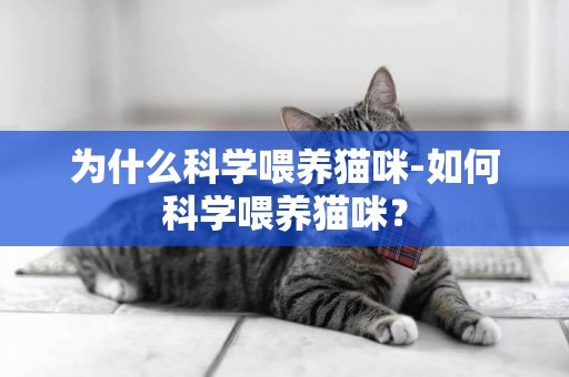 為什么科學喂養貓咪-如何科學喂養貓咪？