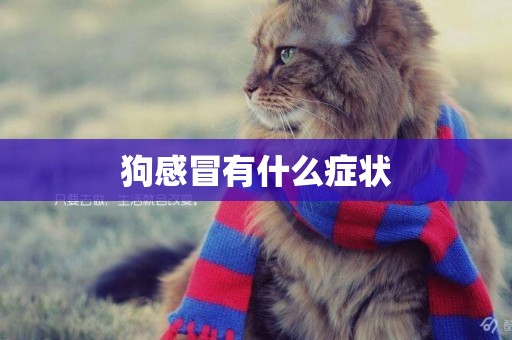 狗感冒有什么癥狀
