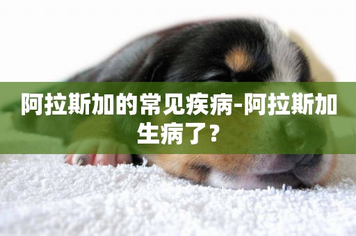 阿拉斯加的常見疾病-阿拉斯加生病了？