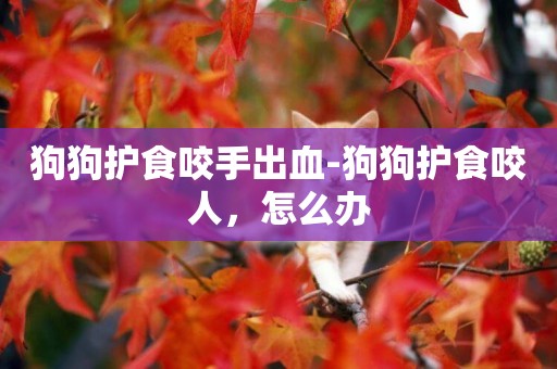 狗狗護食咬手出血-狗狗護食咬人，怎么辦
