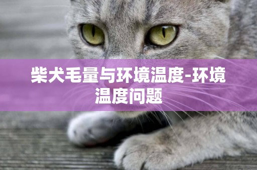 柴犬毛量與環境溫度-環境溫度問題