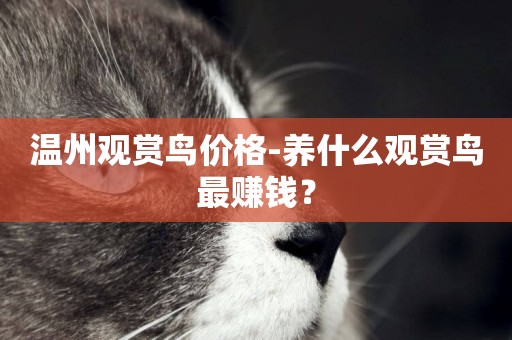 溫州觀賞鳥價格-養什么觀賞鳥最賺錢？