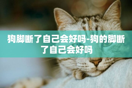 狗腳斷了自己會好嗎-狗的腳斷了自己會好嗎