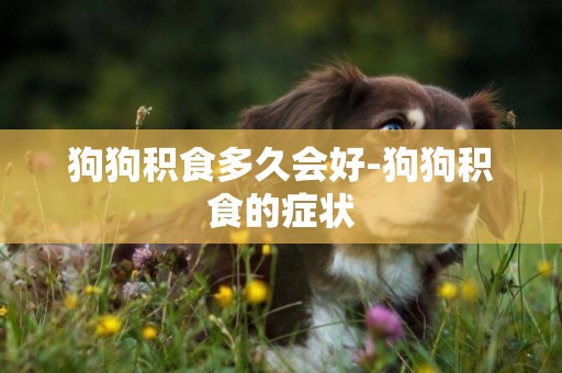 狗狗積食多久會好-狗狗積食的癥狀