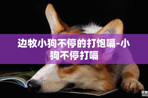 邊牧小狗不停的打飽嗝-小狗不停打嗝