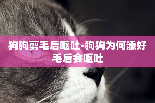 狗狗剪毛后嘔吐-狗狗為何添好毛后會嘔吐