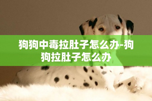 狗狗中毒拉肚子怎么辦-狗狗拉肚子怎么辦