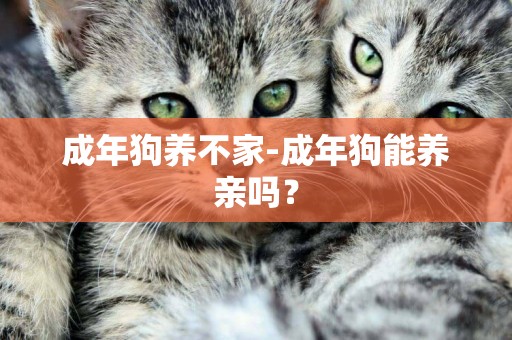 成年狗養不家-成年狗能養親嗎？