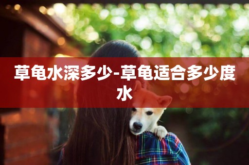 草龜水深多少-草龜適合多少度水