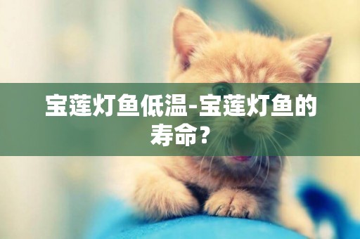 寶蓮燈魚低溫-寶蓮燈魚的壽命？