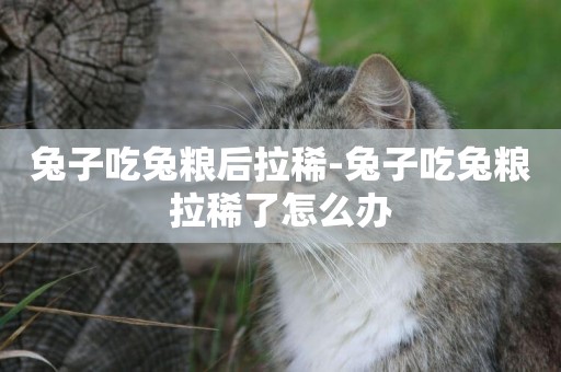 兔子吃兔糧后拉稀-兔子吃兔糧拉稀了怎么辦