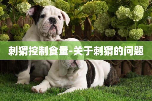 刺猬控制食量-關于刺猬的問題