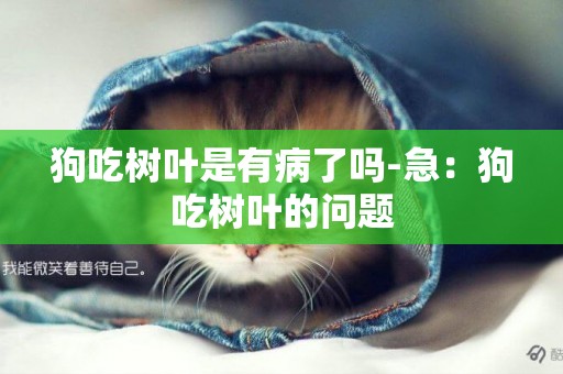 狗吃樹葉是有病了嗎-急：狗吃樹葉的問題