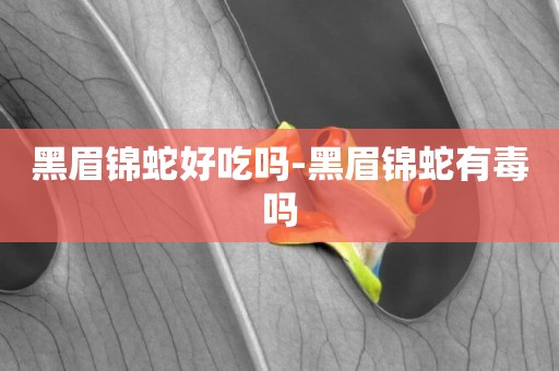 黑眉錦蛇好吃嗎-黑眉錦蛇有毒嗎