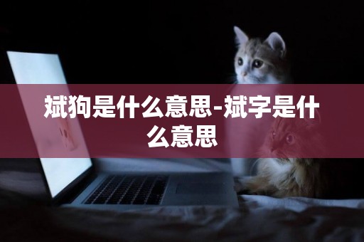 斌狗是什么意思-斌字是什么意思