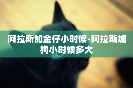 阿拉斯加金仔小時候-阿拉斯加狗小時候多大
