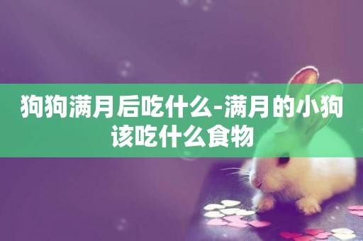 狗狗滿月后吃什么-滿月的小狗該吃什么食物